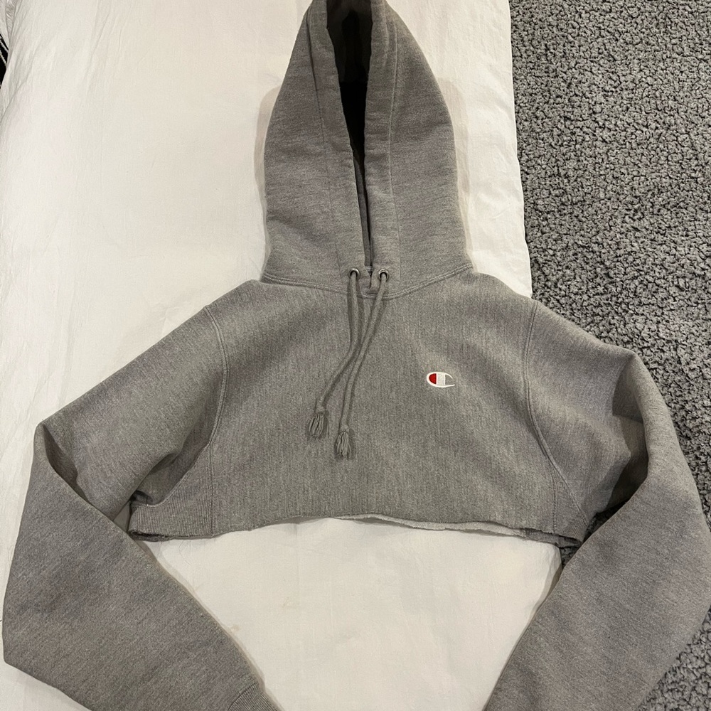 Cropped Champion Sweater (XS)